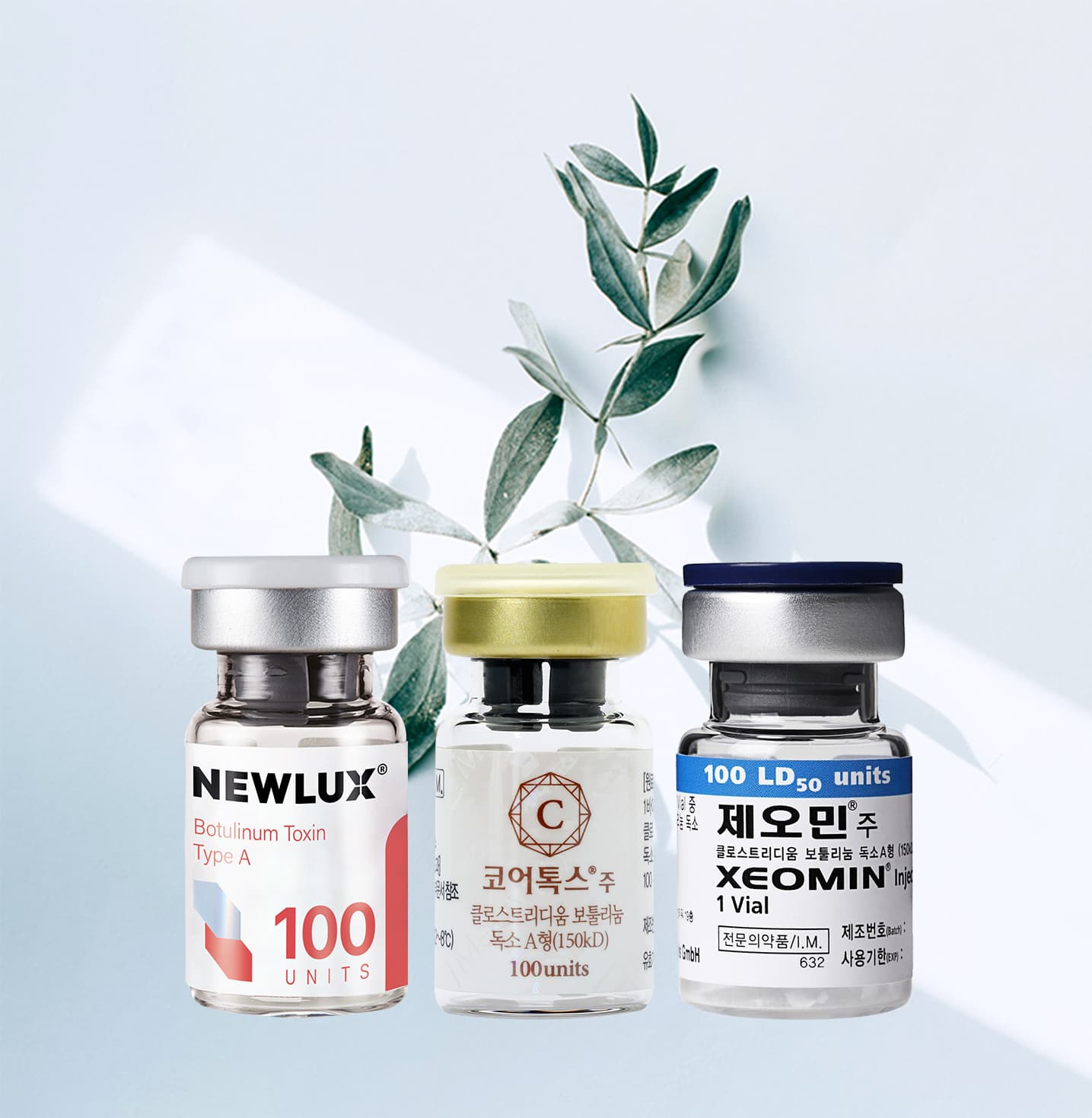 보톡스